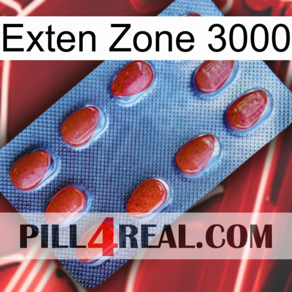 Exten Zone 3000 06.jpg